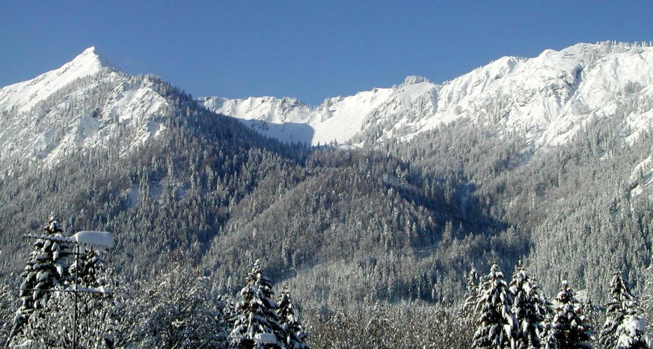Haus-Brecherspitzblick شليرسي المظهر الخارجي الصورة