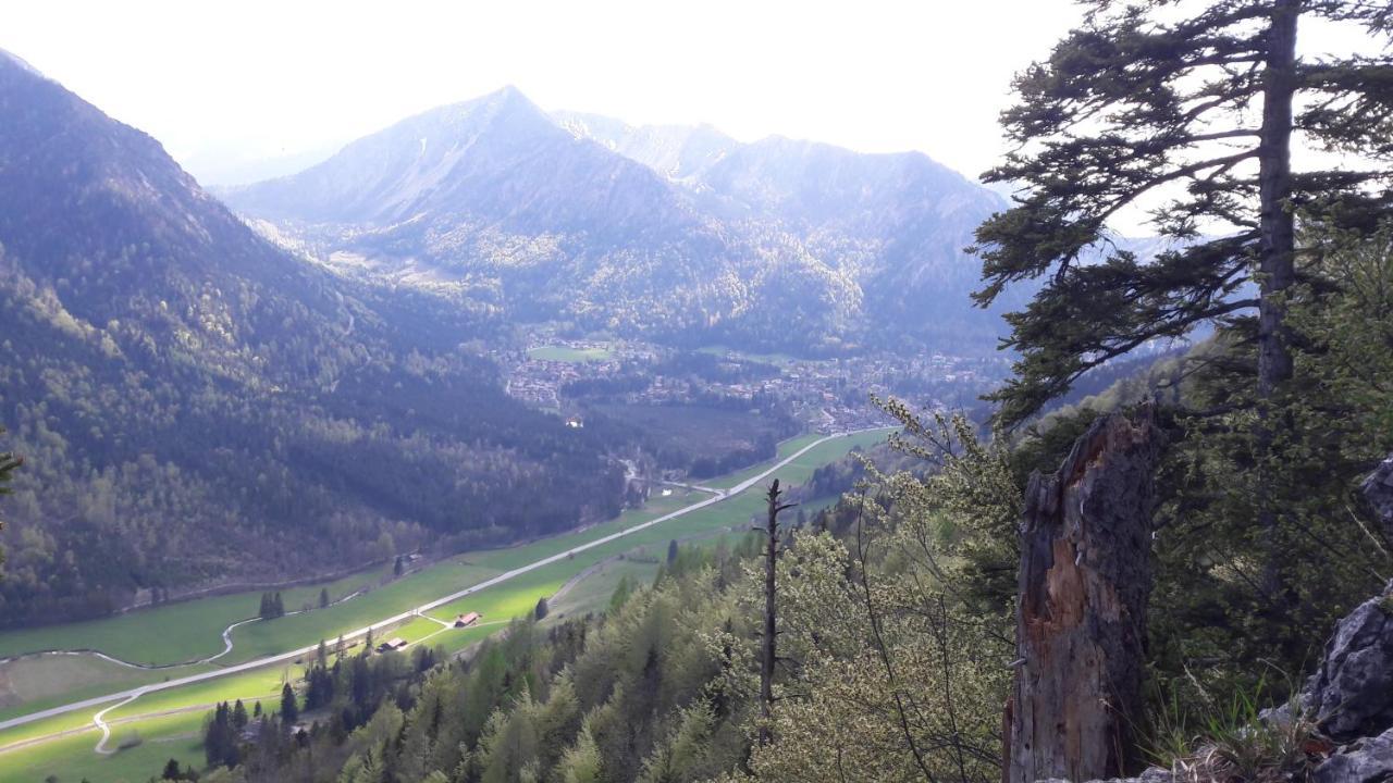 Haus-Brecherspitzblick شليرسي المظهر الخارجي الصورة